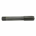 Cta Manufacturing Tap 1/2" X 13 For Cta8240 CTA33090